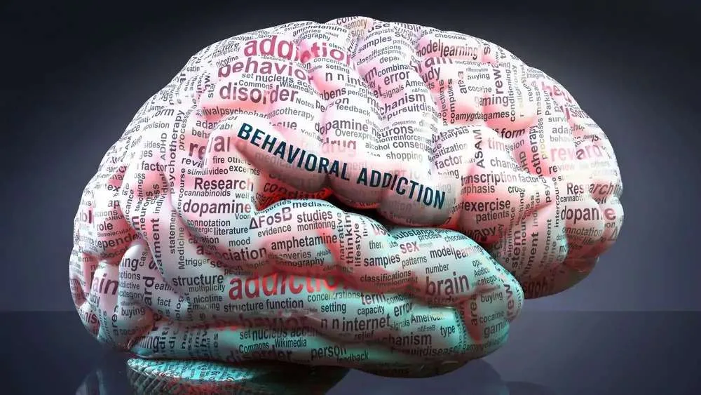 Brain plasticity in drug addiction